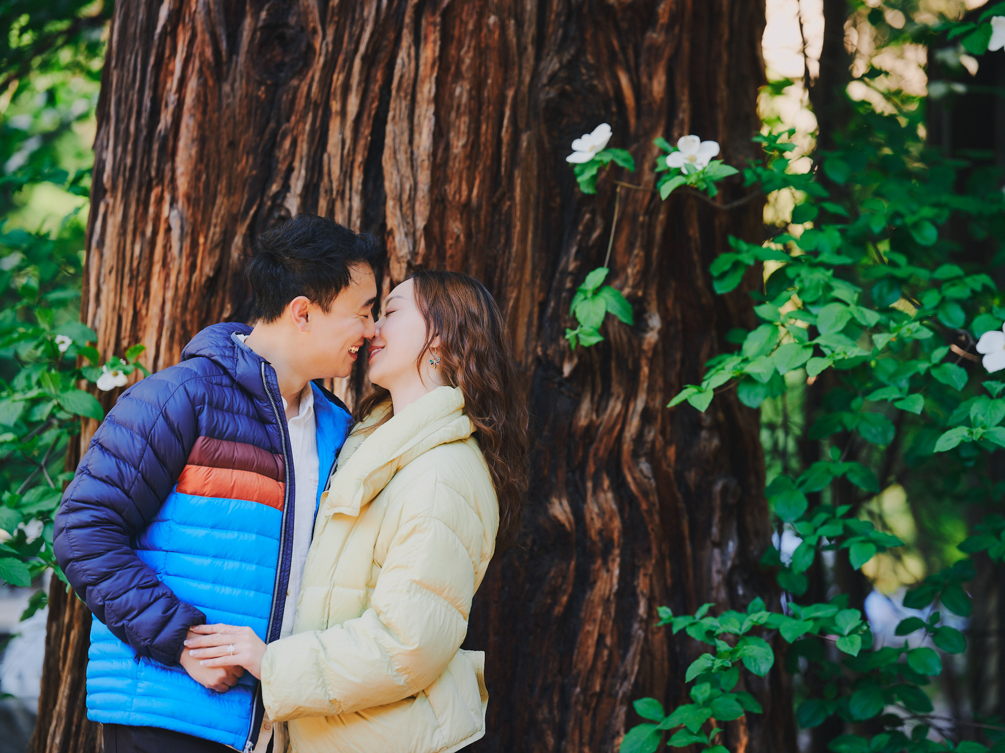 Couple by a redwood